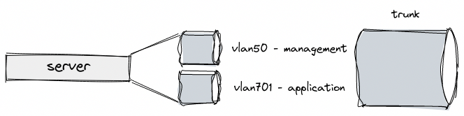 VLAN trunk